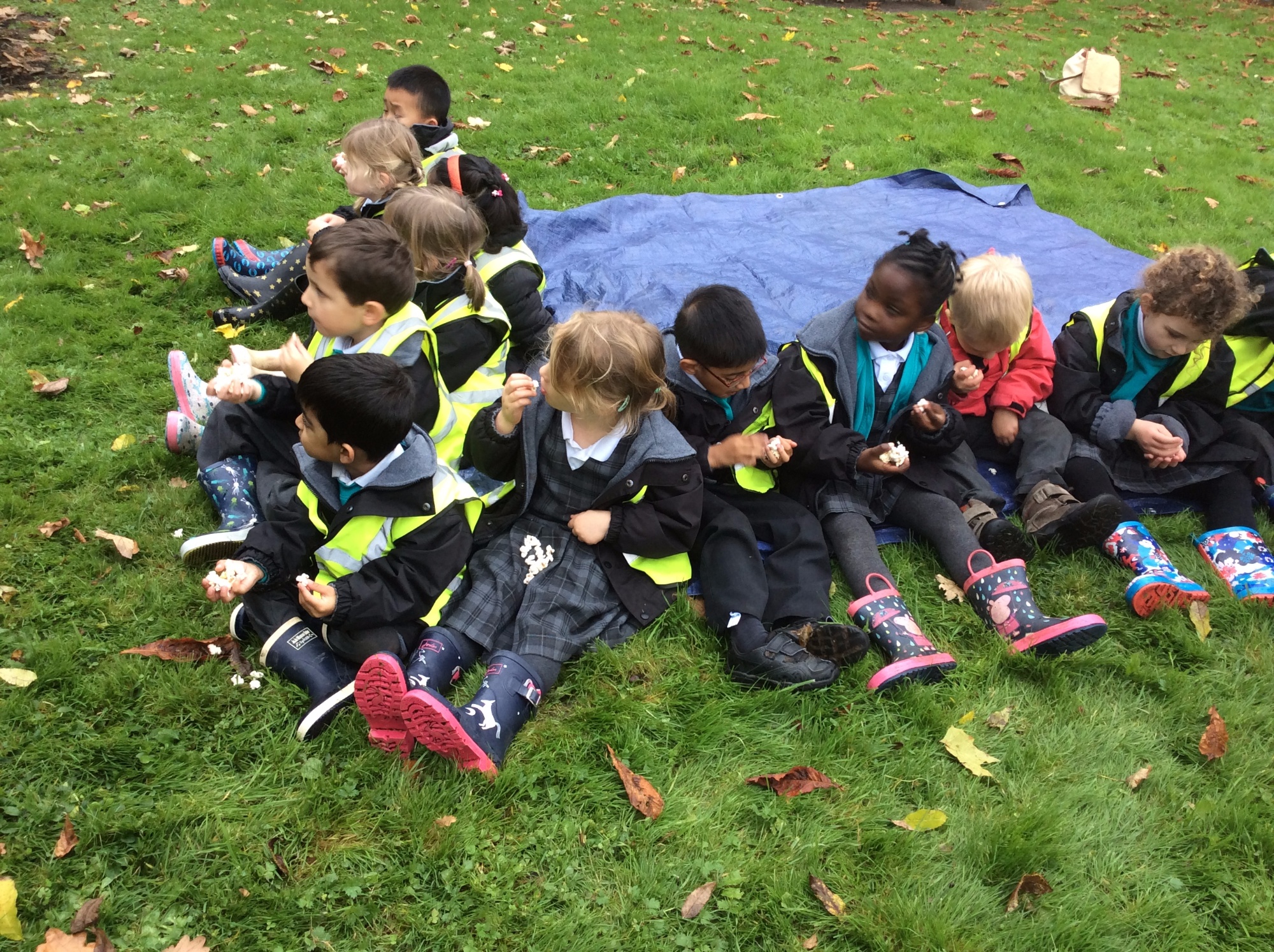 Children in the Forest School