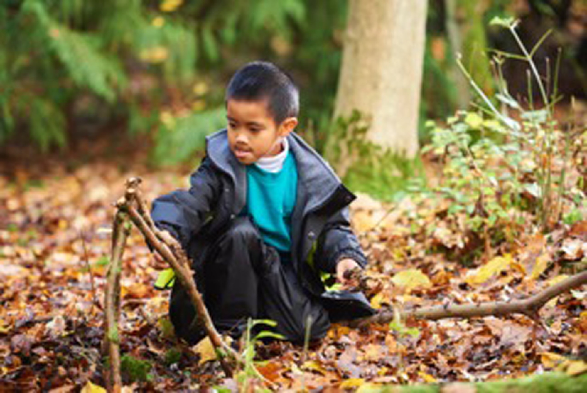 Forest School