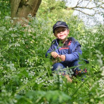 Dame Bradbury's Forest School
