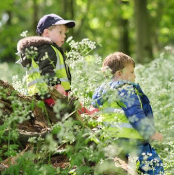 Dame Bradbury's Forest School