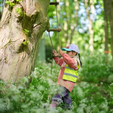 Dame Bradbury's Forest School