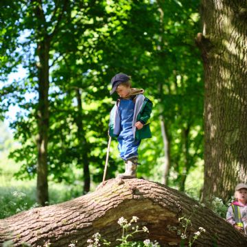 Dame Bradbury's Forest School