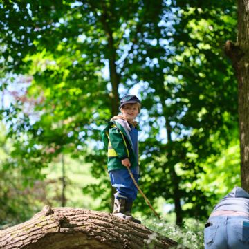 Dame Bradbury's Forest School